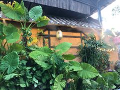 -园林美食城·本土农家菜(杨和镇店)