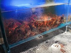 -苏格里岛自助烤肉海鲜火锅(成都金牛万达店)