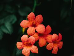 -豫园商城