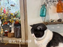 -海边的猫和咖啡馆