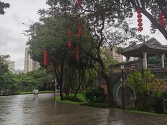 -荔湾湖公园