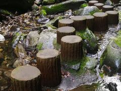 -黑河国家森林公园