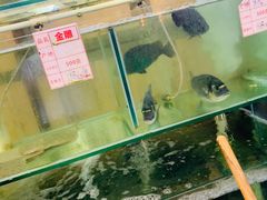 -祈胜邨•顺德鱼生•顺德菜(容桂店)