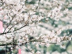 -杭州少年儿童公园