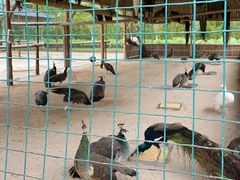 -韶关经律论国际酒店温泉