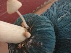 -天香KTV(五四大街店)