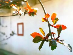 -丰台花园
