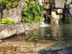 -广州神农草堂中医药博物馆