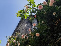 -老门东历史文化街区