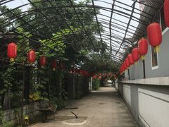 -大海别墅民宿农家院(十渡店)