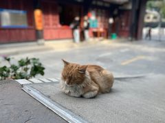 -古大圣慈寺