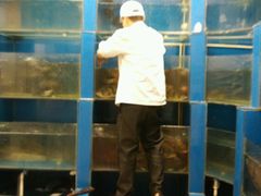 android_upload_pic-永安鱼庄·镇江菜(三店纬五路店)