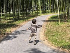 -黄海国家森林公园