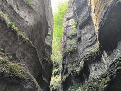 -梭布垭石林景区