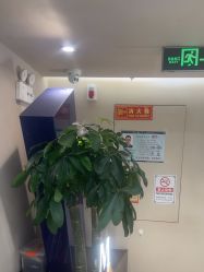 -木北造型