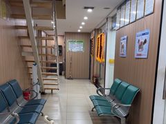 -米苏动物医院·犬猫专科·骨科外科内窥镜