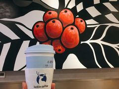 -瑞幸咖啡(浦江双辉店)