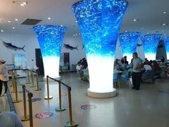 -深海中餐厅(国家海洋博物馆店)