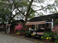 -运河游船(武林门码头)