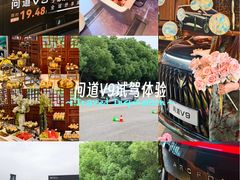 -南湖湿地公园