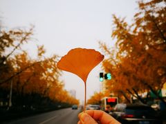 -赭山公园