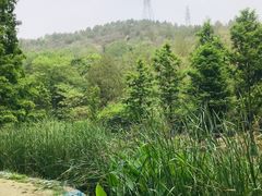 -白水寺森林公园