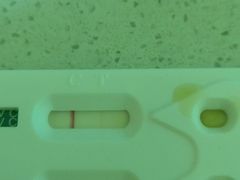 -瑞鹏宠物医院·爱宠堂·骨外专科(西荷分院)