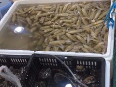 -青石桥市场北1-27号