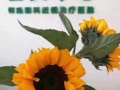 -大连何氏眼科医院