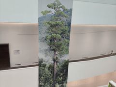 -中国湿地博物馆