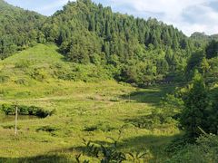 -宝鼎风景区