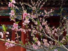 -圣莲山风景区