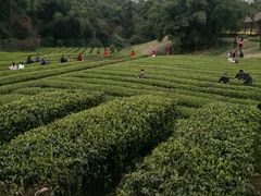 -保利石象湖景区
