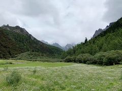 -稻城亚丁景区-冲古草甸