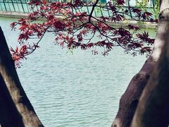 -苏州工学院(东湖校区)