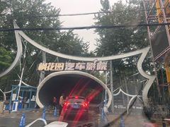 -枫花园汽车电影院(朝阳公园店)