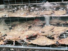 -浩运·海鲜青岛菜·海胆水饺(石老人店)