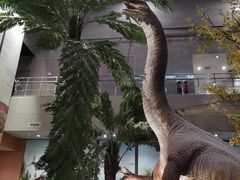 -湖南省地质博物馆