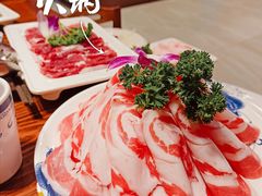乌拉羔羊卷-凰吉园