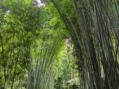 -成都杜甫草堂博物馆