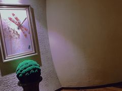 -恐龙人俱乐部