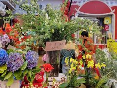 -溪岸路花鸟市场