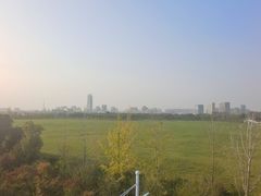 -澹台湖公园
