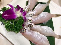 -围炉夜话·潮汕卤水火锅(榕江店)