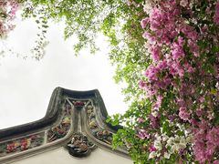 -深圳国际园林花卉博览园