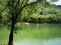 -水濂山森林公园