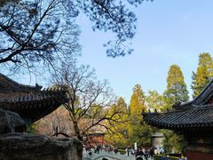 -香山公园