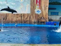 -华夏文旅西安度假区