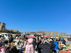 -灵山卫大集