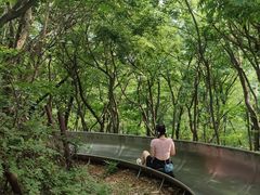 -富斯特索道